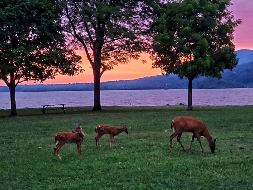 Gallery Photos and Images Town of Cornwall NY