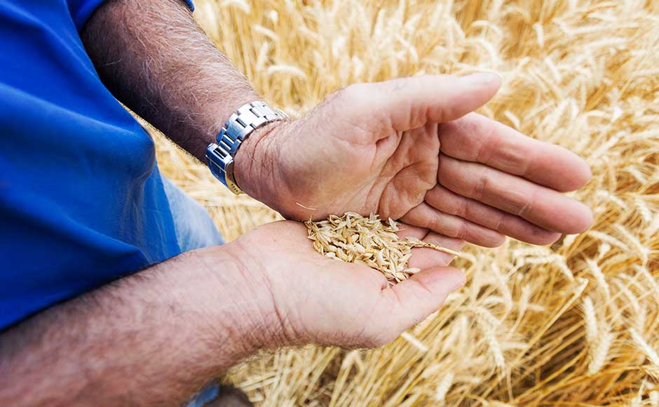 Explore Cummins Cummins, South Australia