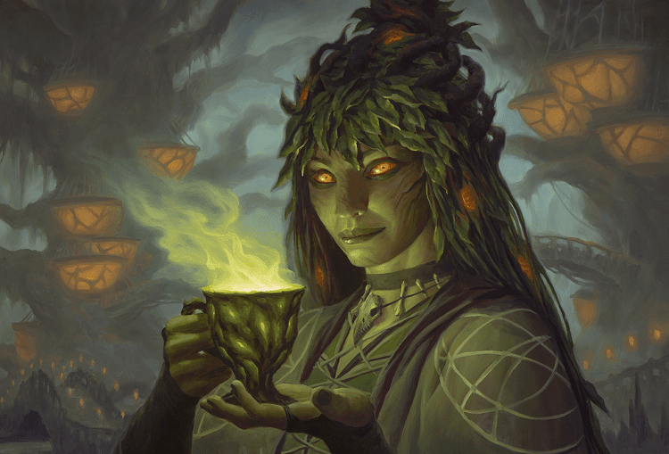 Herbalism Kit 5e Guide the World's Greatest Apothecary