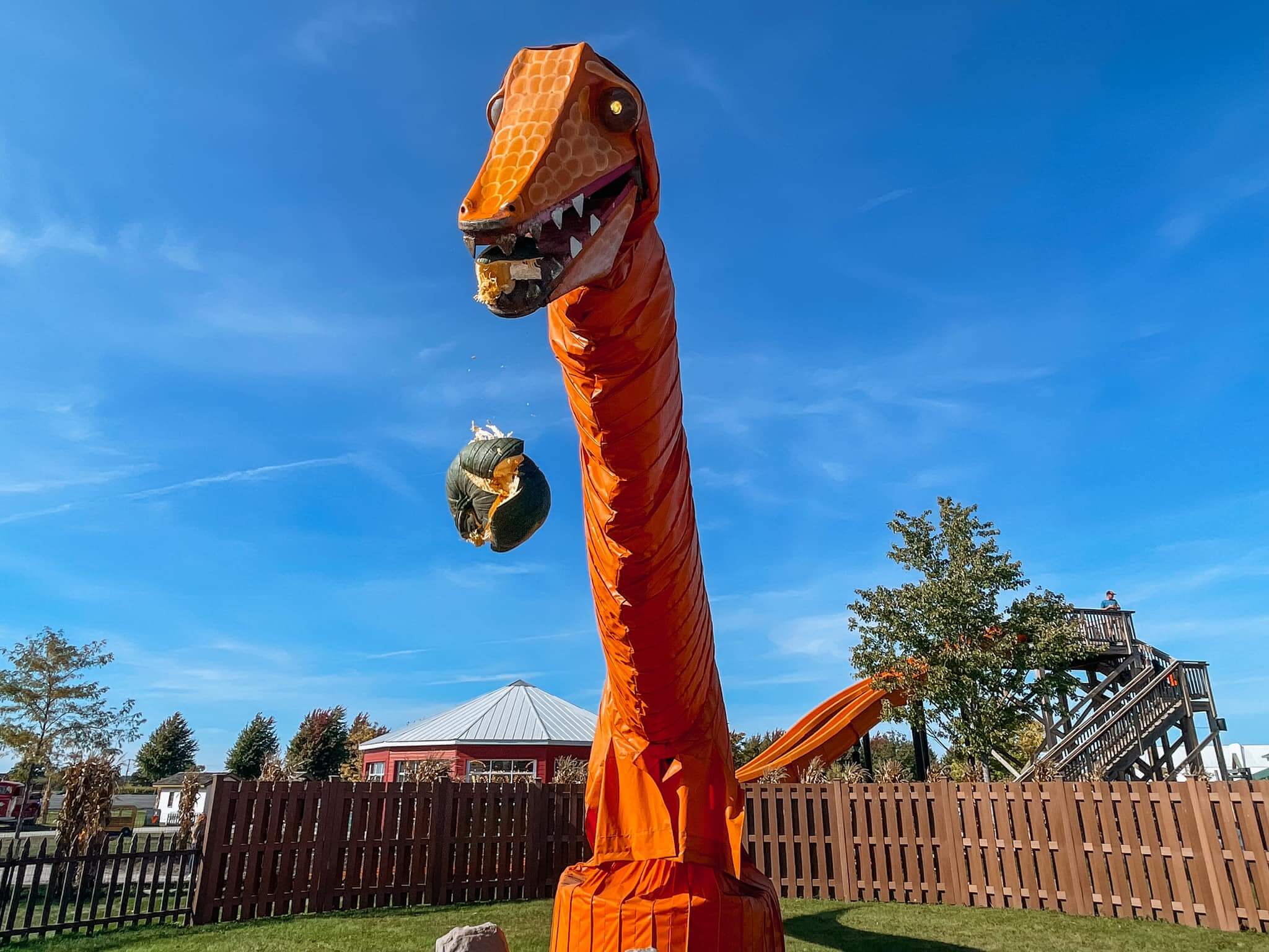 Goebbert's Pumpkin Patch Pingree Grove Explore Elgin Area