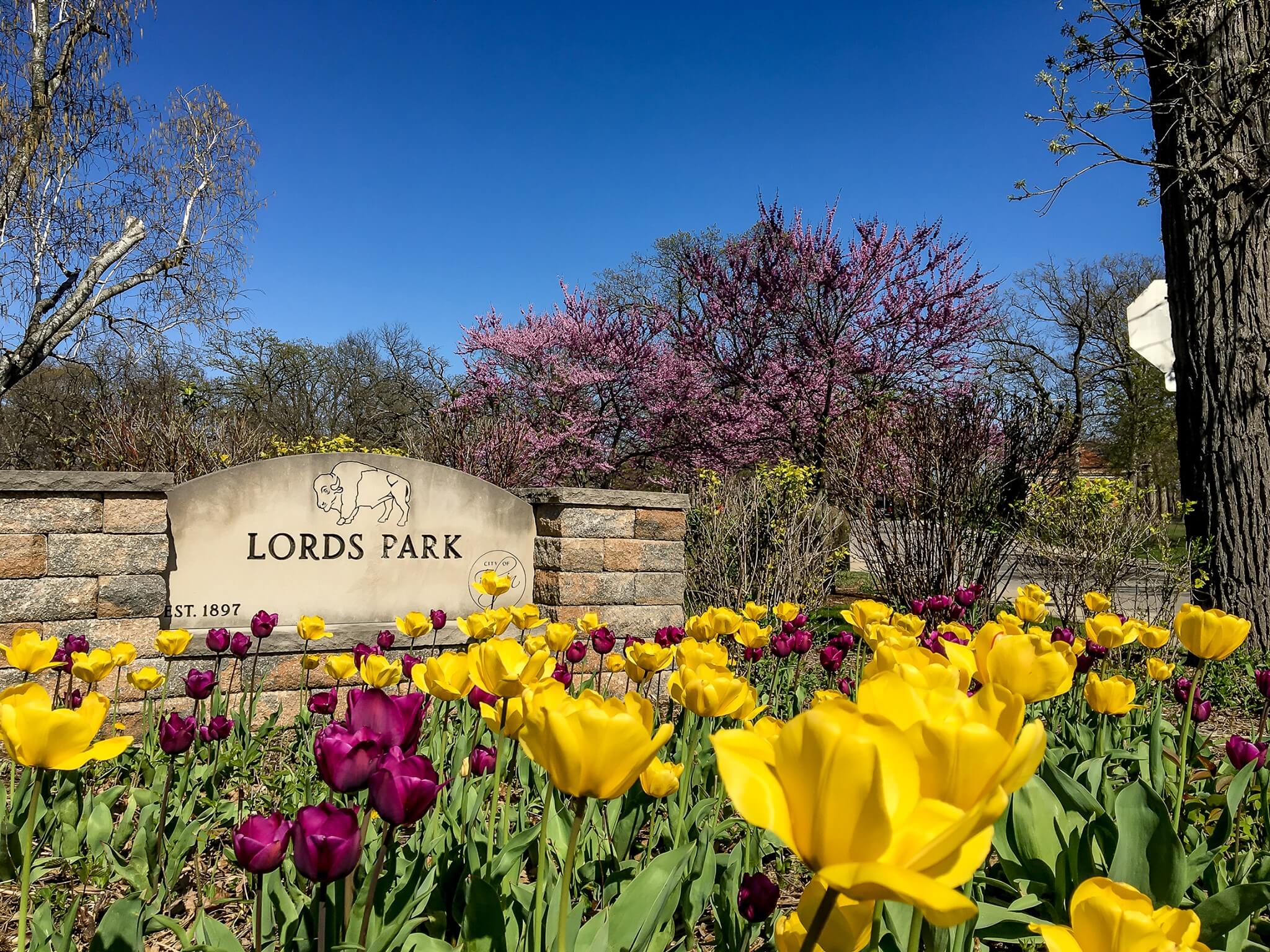 Lords Park Explore Elgin Area