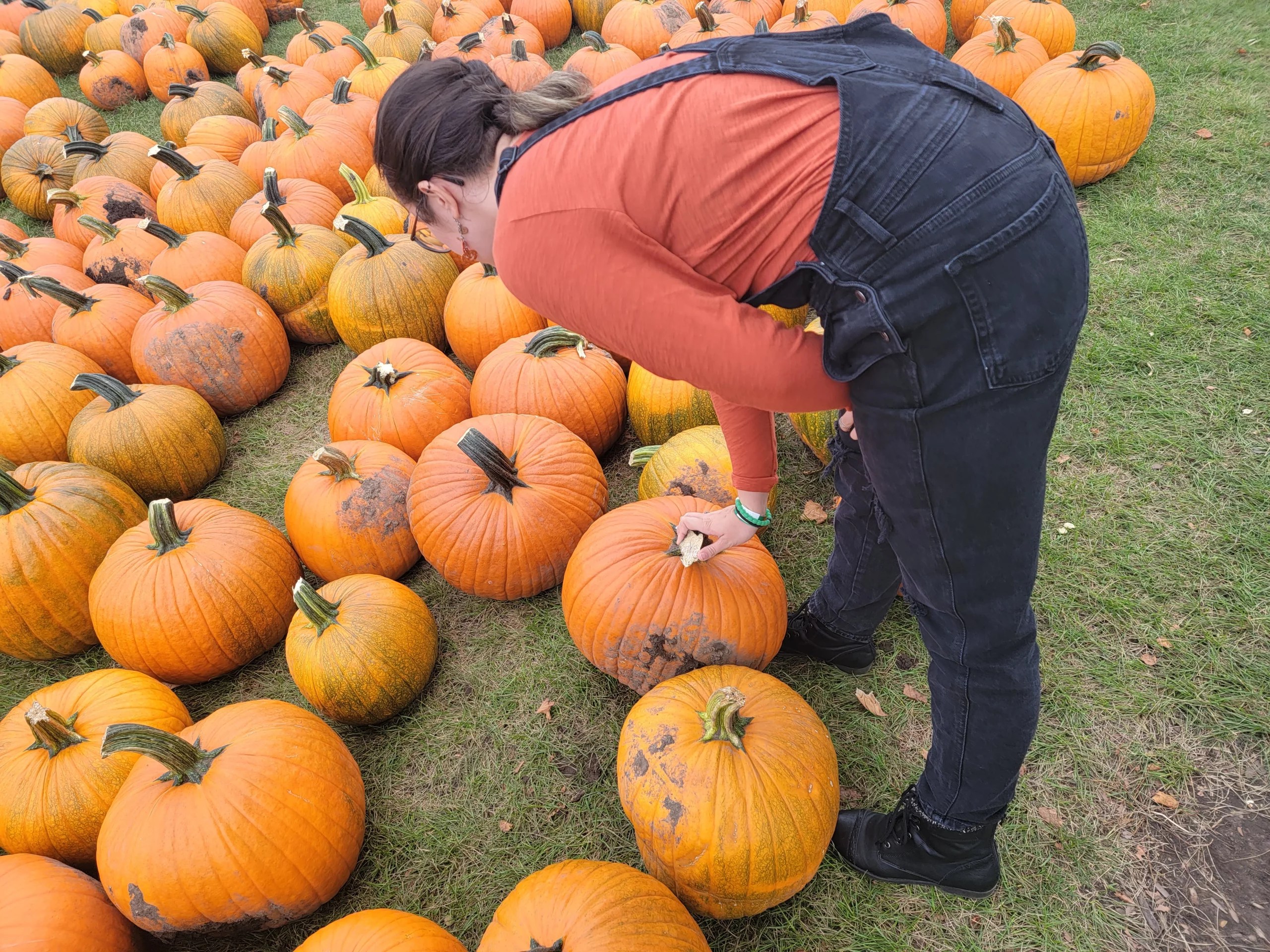 SpookySeason Events in the Elgin Area Explore Elgin Area