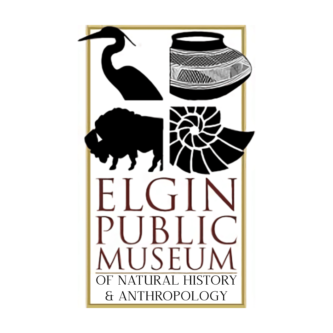 Dia de los Muertos Celebration at Elgin Public Museum Explore Elgin Area