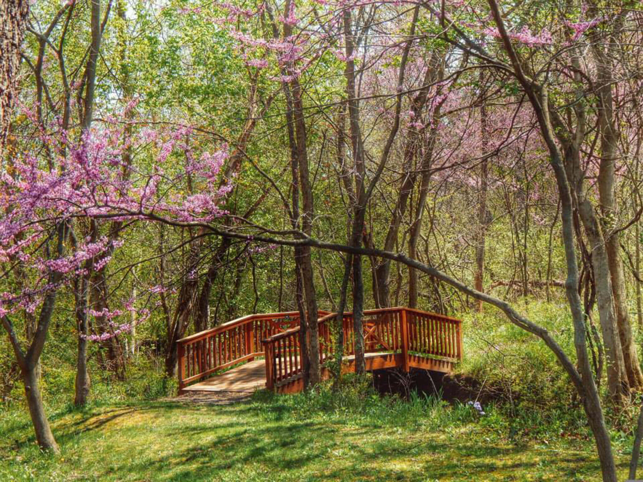 Illinois Road Trip RoundUp Best Picnic Spots Explore Elgin Area