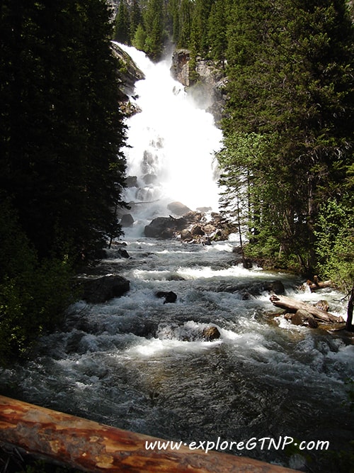 Top 12 Things to Do at Grand Teton National Park Explore GTNP