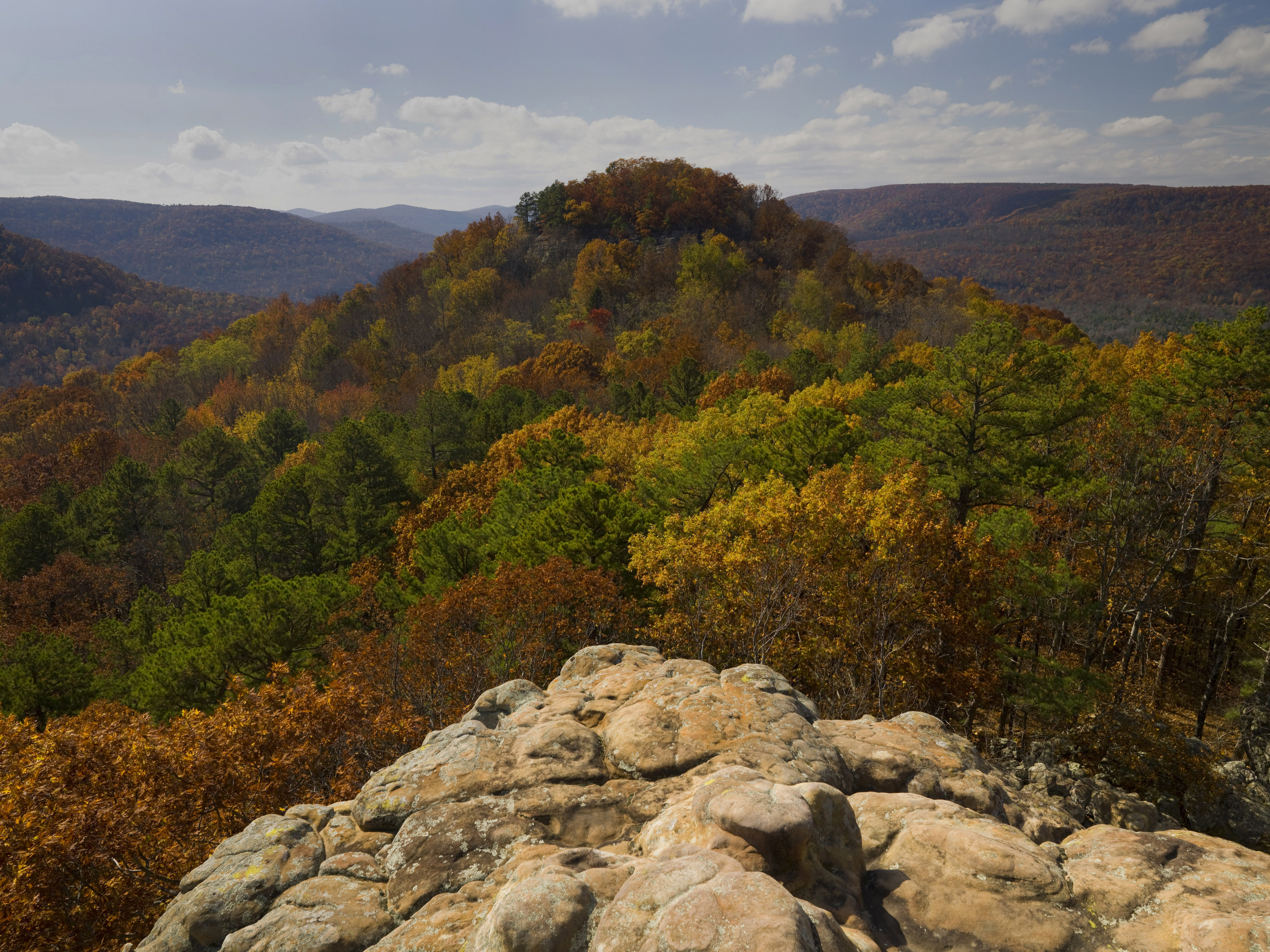 Fall Colors/Maplewood Cemetery Harrison Convention & Visitors Bureau