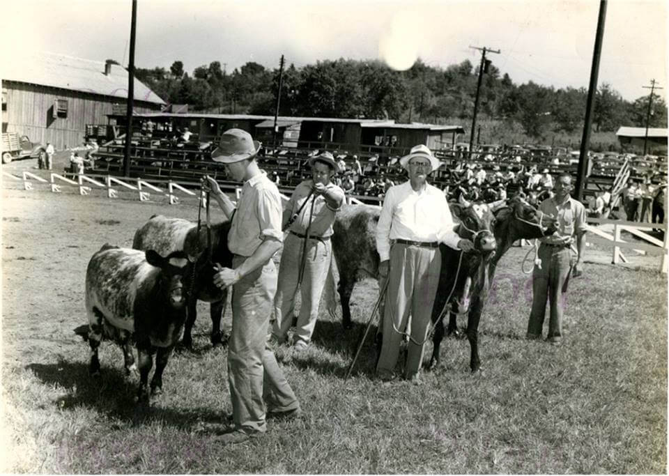 Things To Do Hickman County, KY