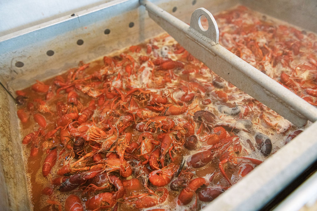 'Heads' Up for Crawfish Season Visit HoumaTerrebonne, LA