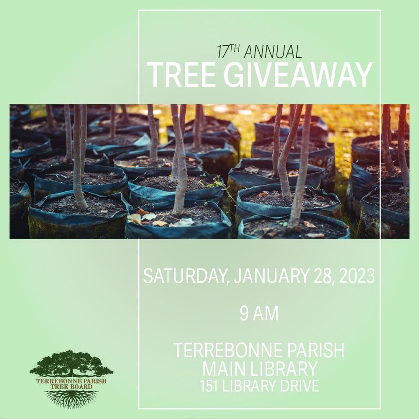 17th Annual Tree Giveaway Explore Houma