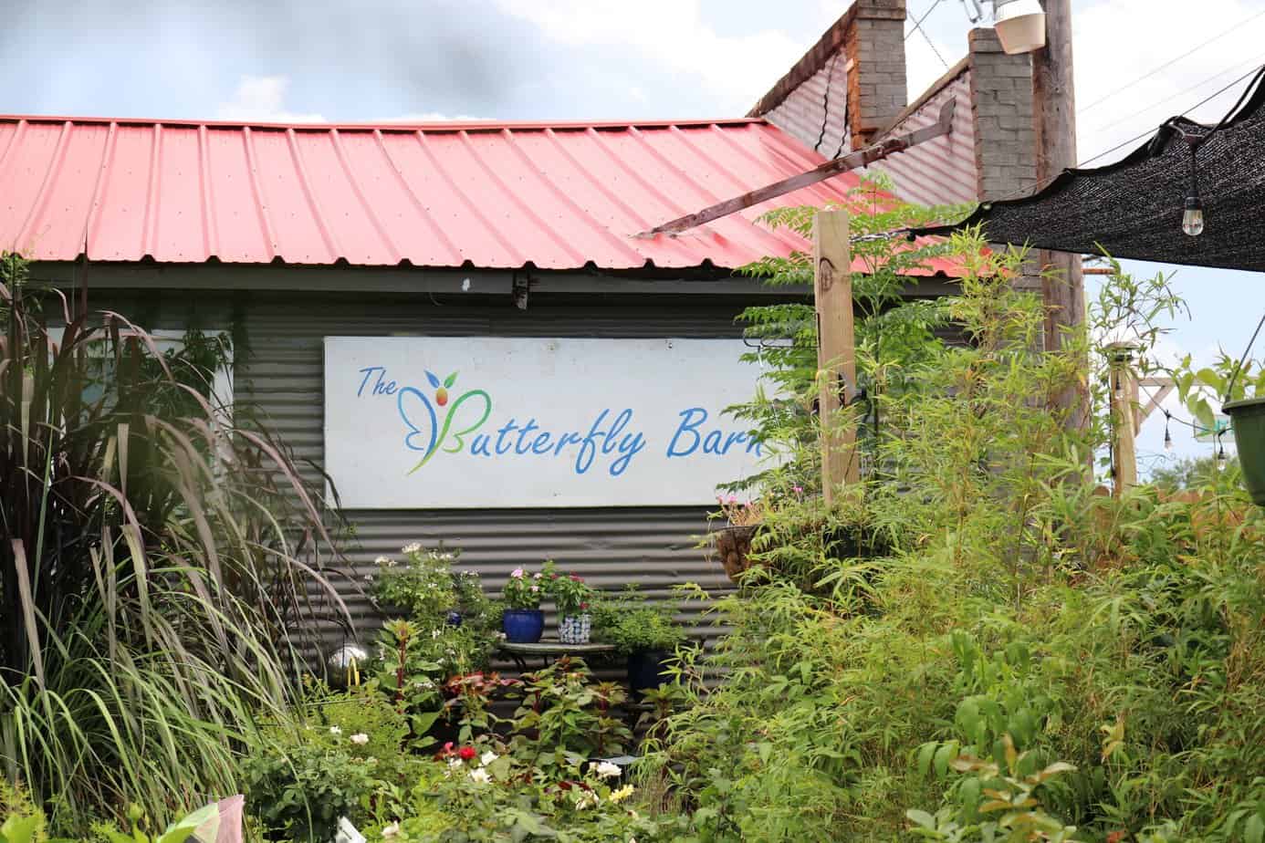 Butterfly Barn Jacksonville Visitor and Tourism Guide