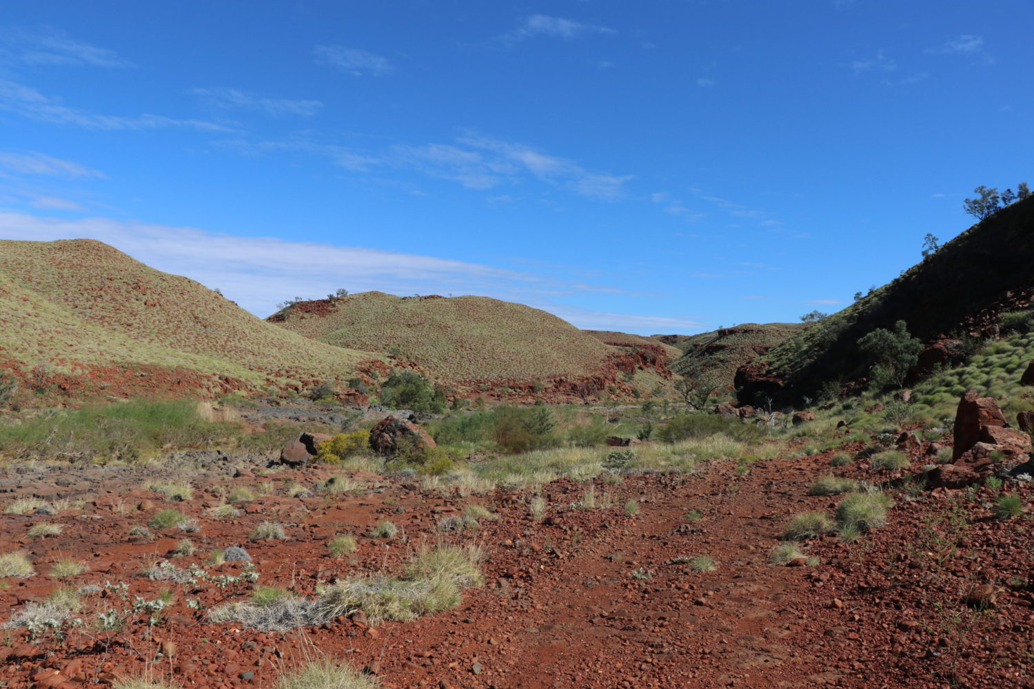 Red Dog Explore Karratha