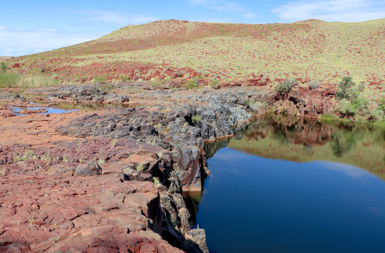 Red Dog Explore Karratha