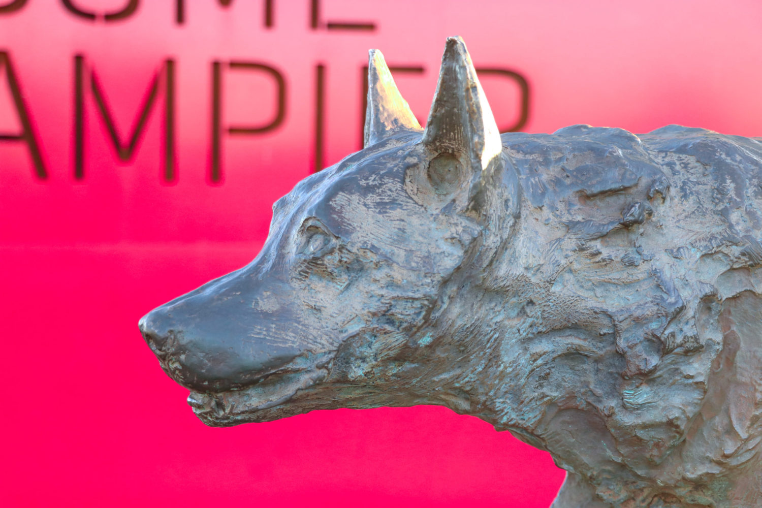 Red Dog Memorial Statue Explore Karratha