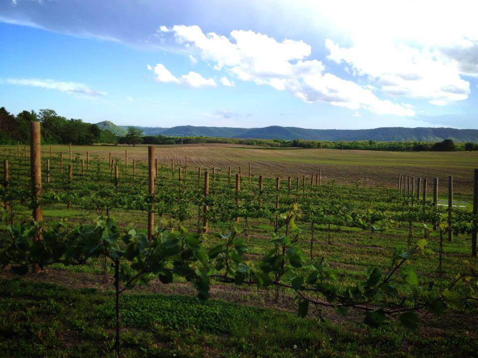 Wineries, Vineyards, & Breweries in La Crosse, WI ExploreLaCrosse