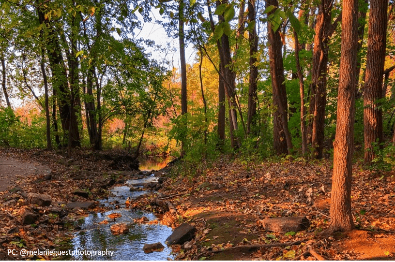 Scenic Fall Hikes In The La Crosse Region ExploreLaCrosse