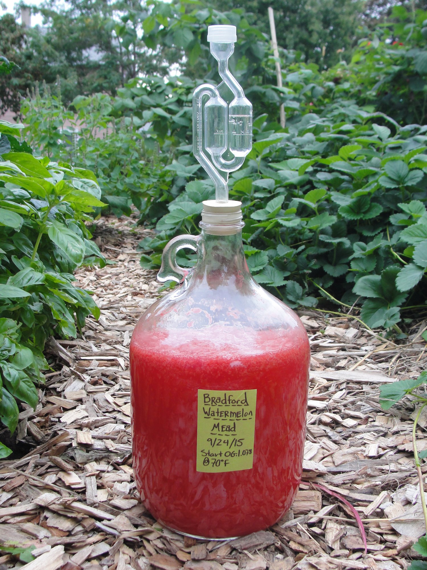 Mead Making Class ExploreLaCrosse