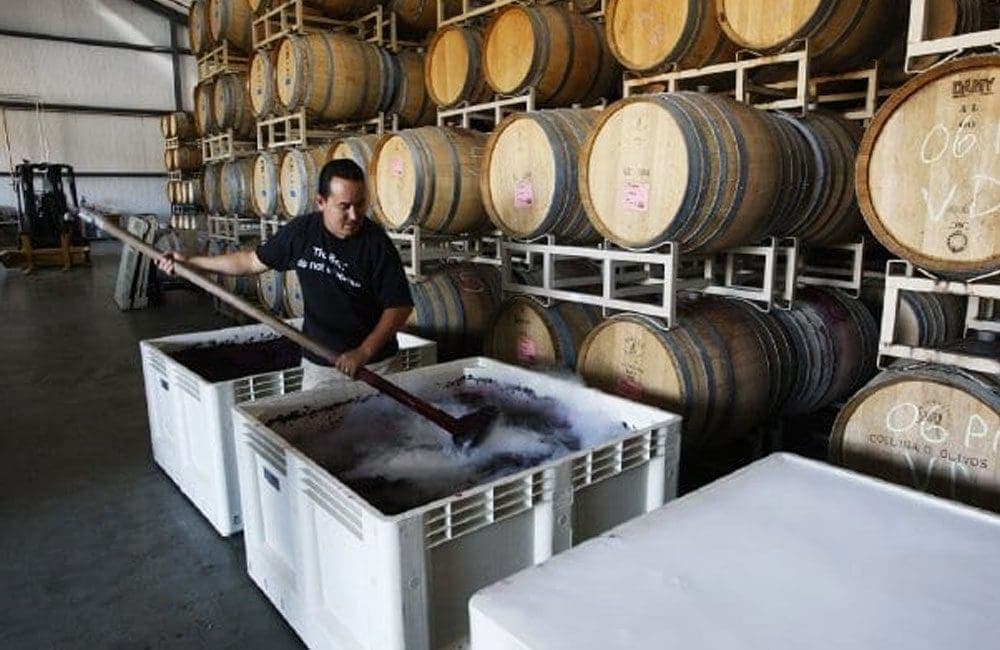 D'AlfonsoCurran Wines Lompoc California