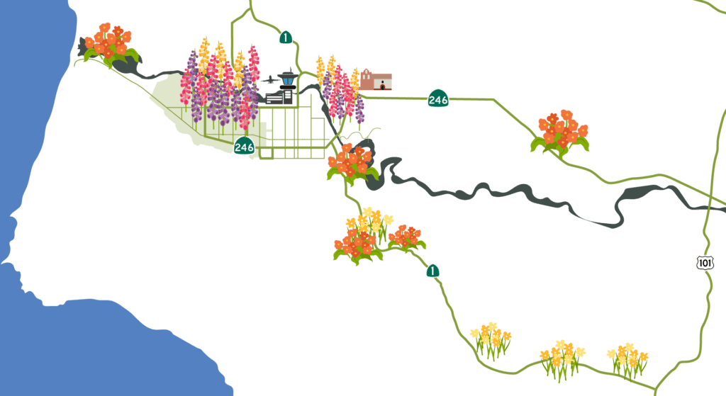 Flower Fields Photos, Tracker, and Map Lompoc California