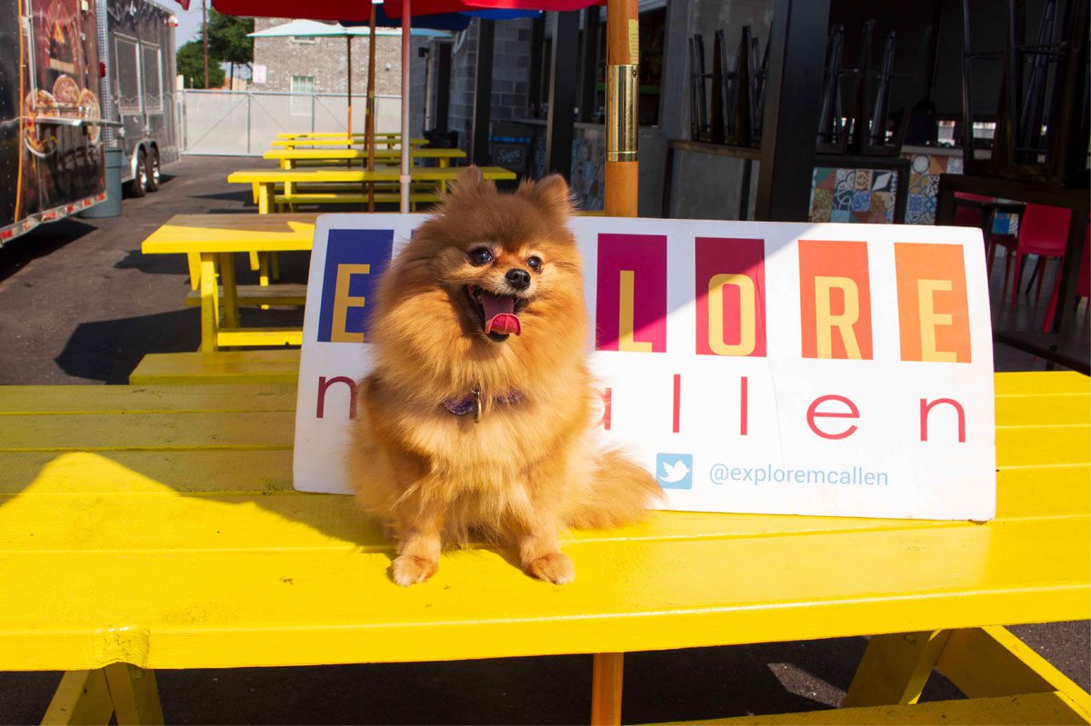 18 DogFriendly Restaurants, Bars, & Cafes in McAllen Explore McAllen