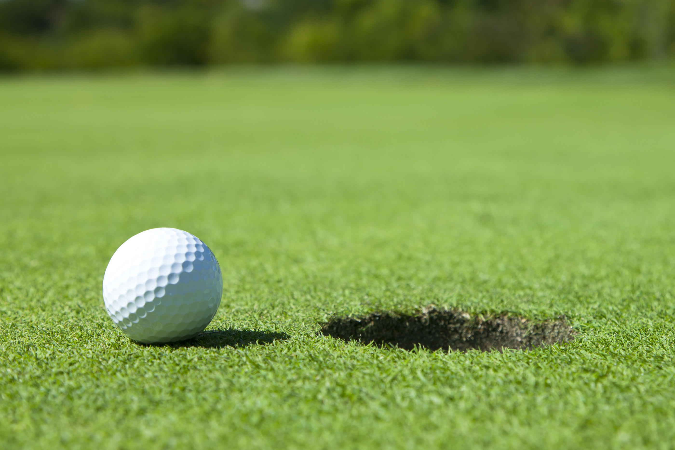 Minnesota golf trips