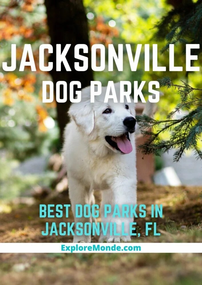 Got Featured On ExploreMonde? Proudly Show It Off!!!