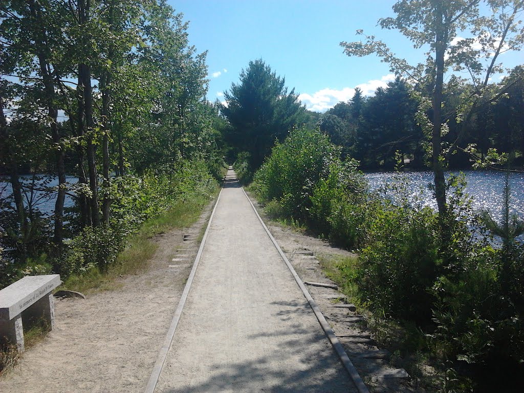 Cotton Valley Rail Trail Explore Moose Mountains