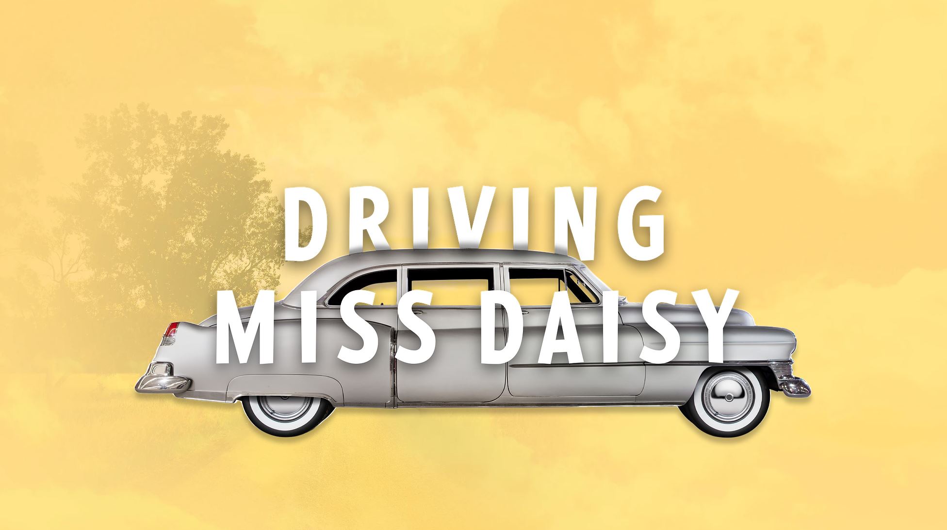 Driving Miss Daisy Explore Naples NY