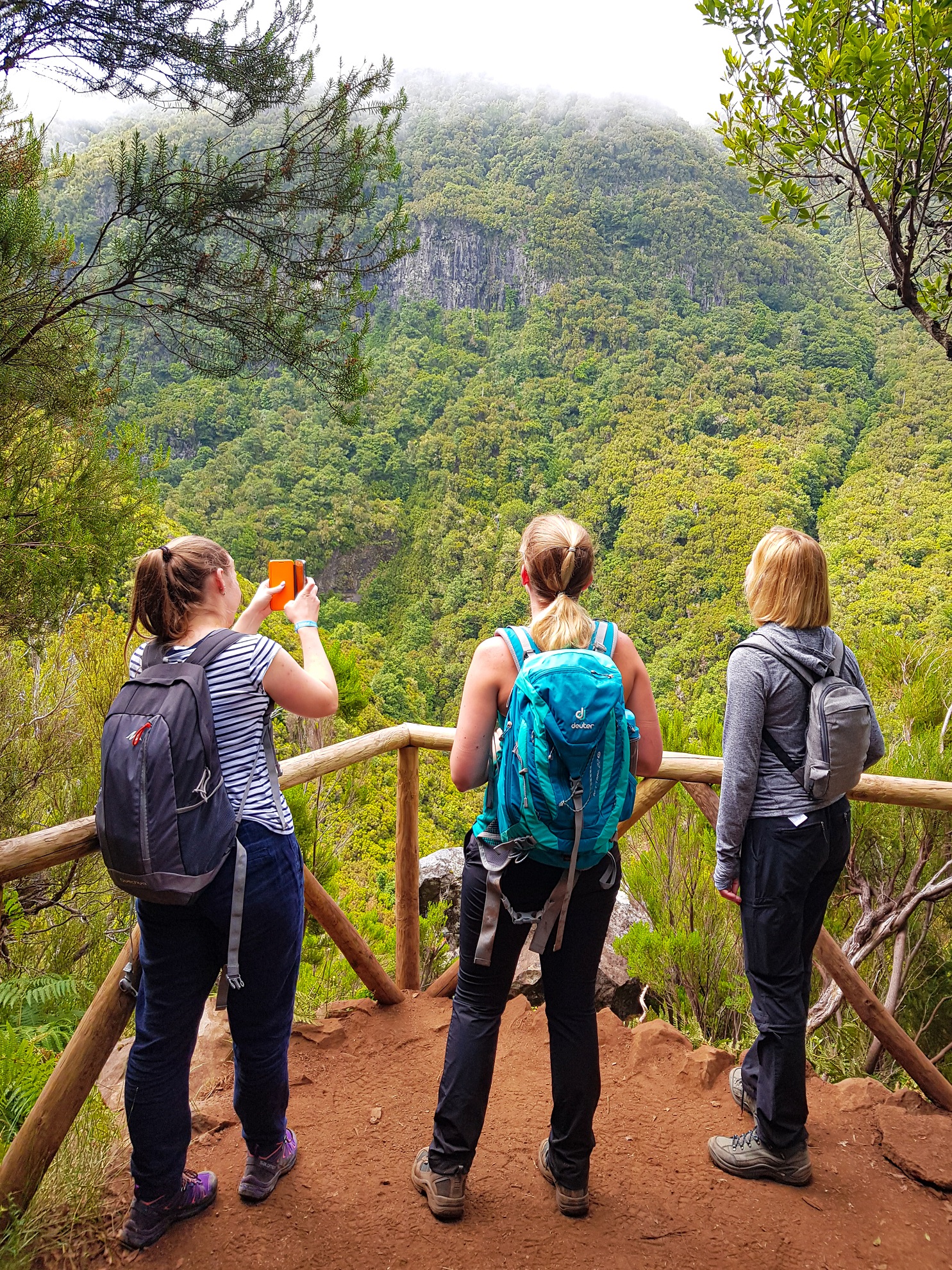 Explore Nature Caminhadas e Levadas mais bonitas na ilha da Madeira
