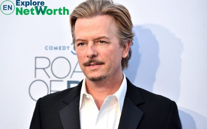 David Spade Net Worth, Wiki, Biography, Age, Wife, Children, Religion(014)