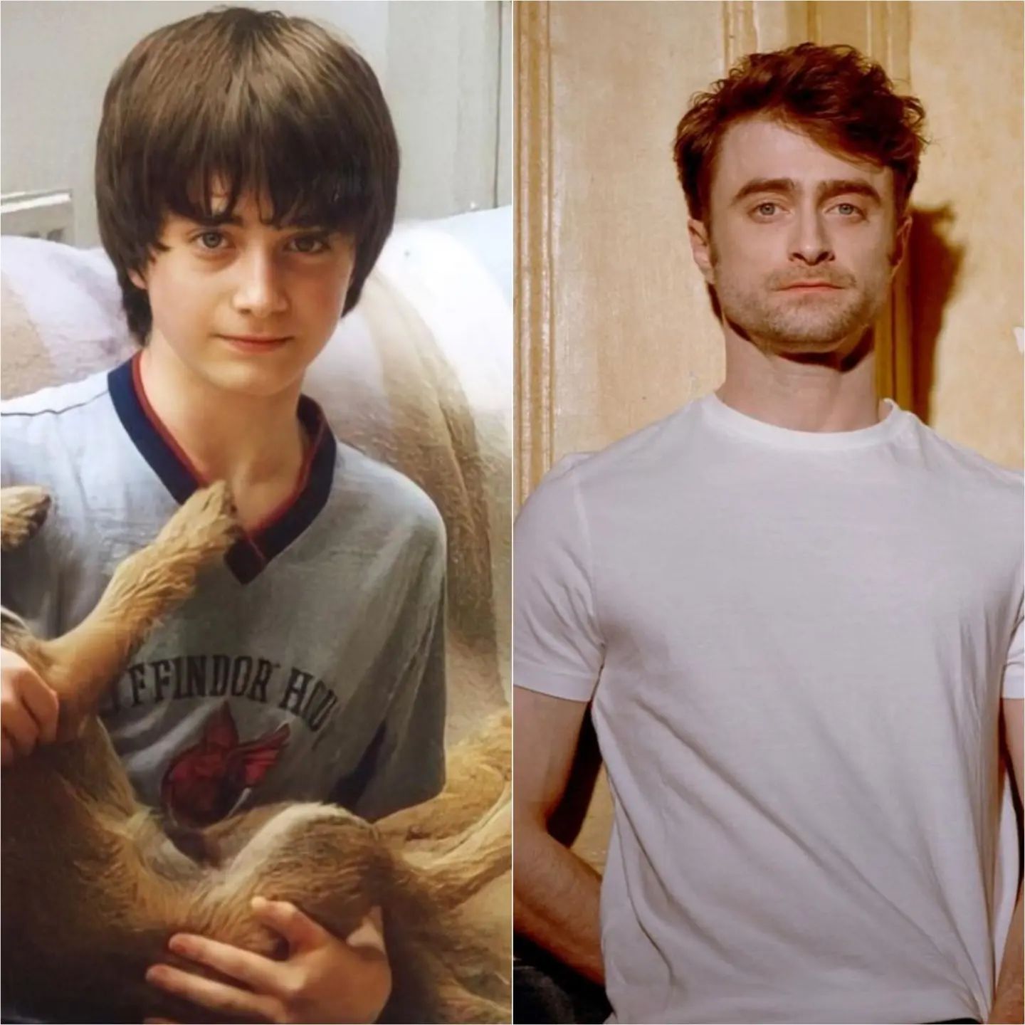 What Is Daniel Radcliffe Net Worth? Full Biography 2024 Explore Net Worth