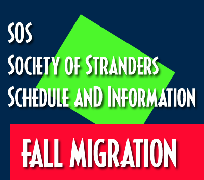 Myrtle Beach Shagging Events 2023 Sos Fall Migration Schedule North Myrtle Beach - Explore Nmb