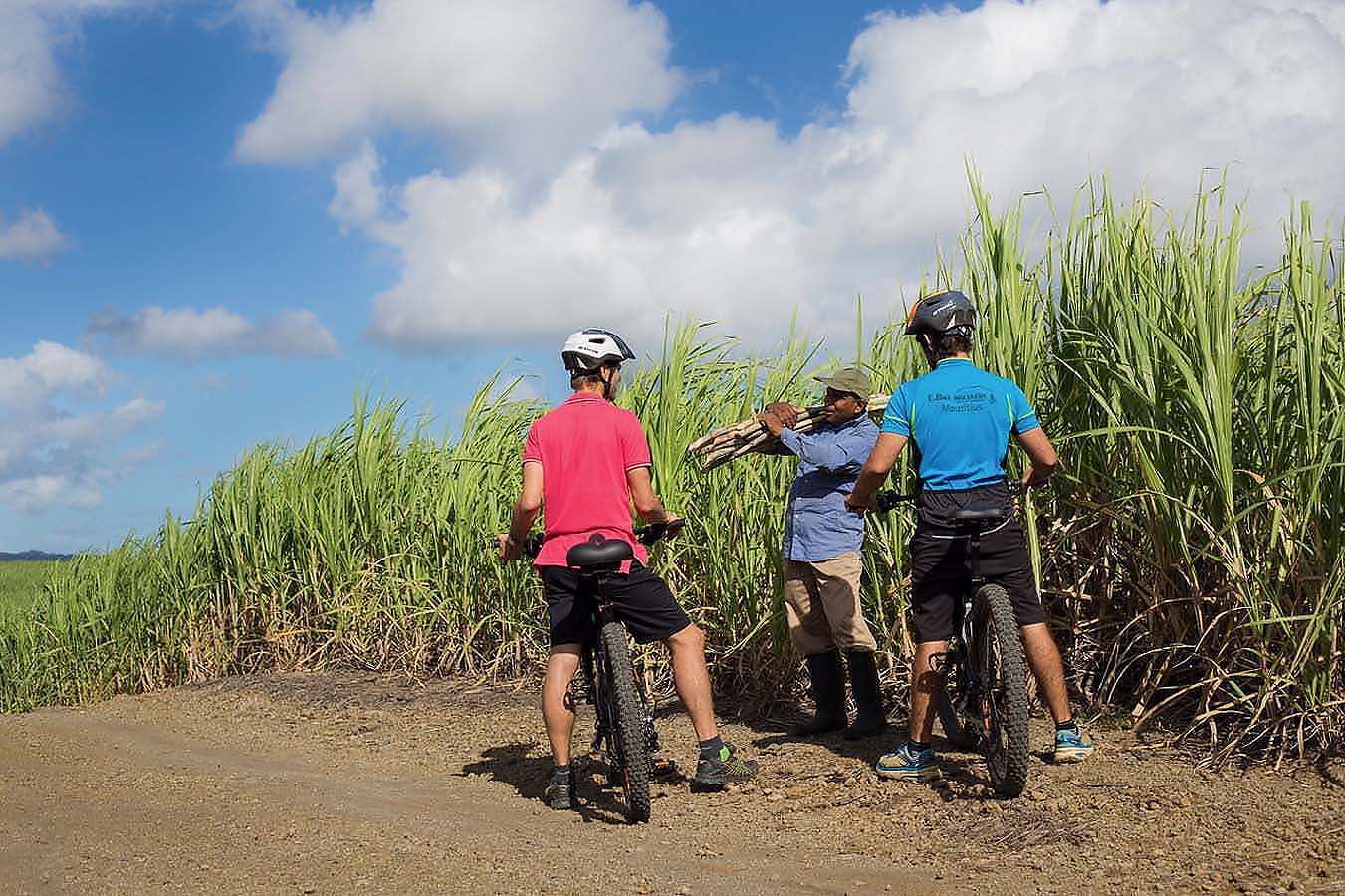 Electric Bike Tours Mauritius Mauritius Bike Rentals