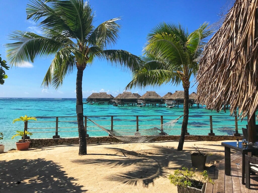 Island Vibes 15 EPIC Things to Do in Moorea Explore Now Or Never