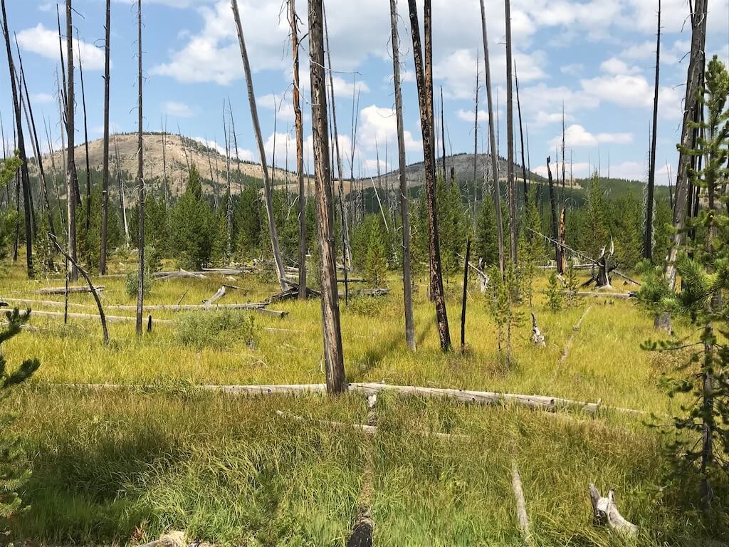 13 Epic Cabin Rentals near Yellowstone National Park for 2024 Explore