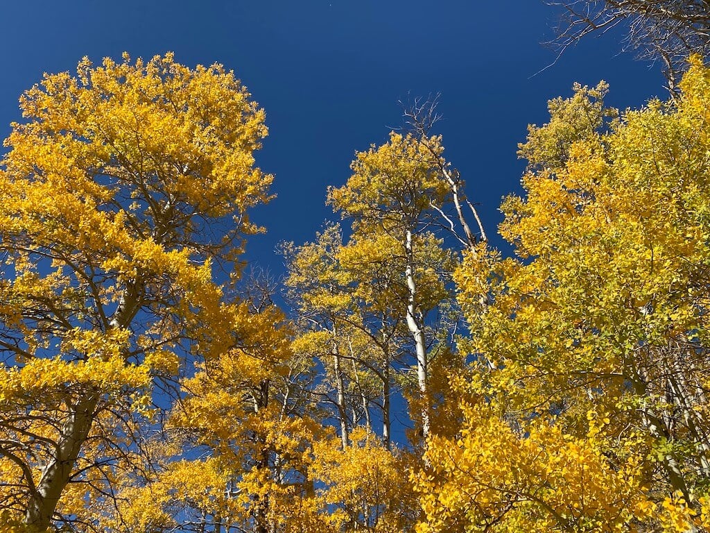 Fall Colors in California 10 Spectacular Places to See Explore Now
