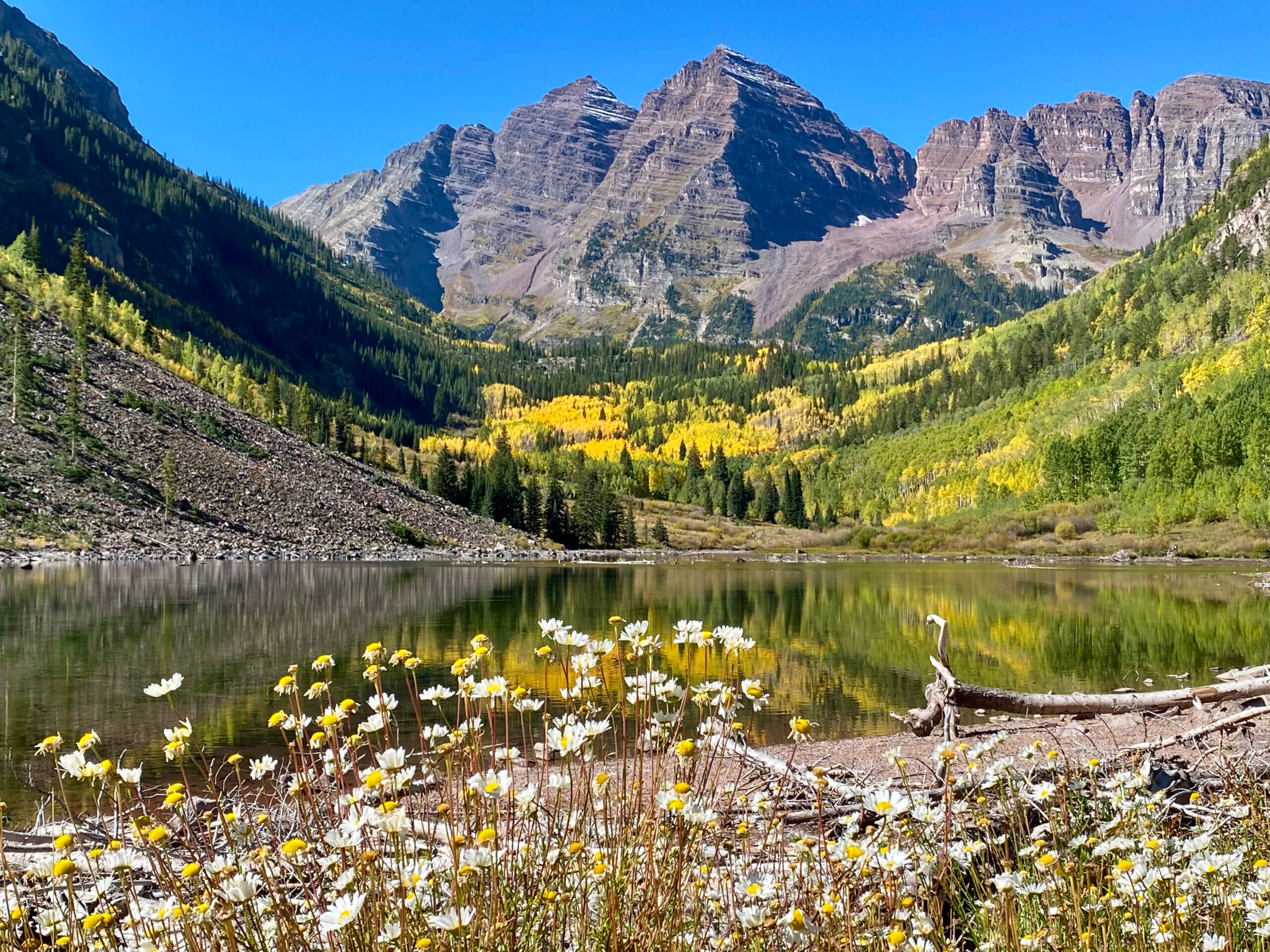 Aspen Fall Color 7 Great Places for Leaf Peeping Explore Now Or Never