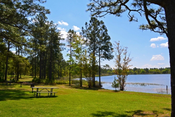Recreation & Management Areas Explore Northwest Florida