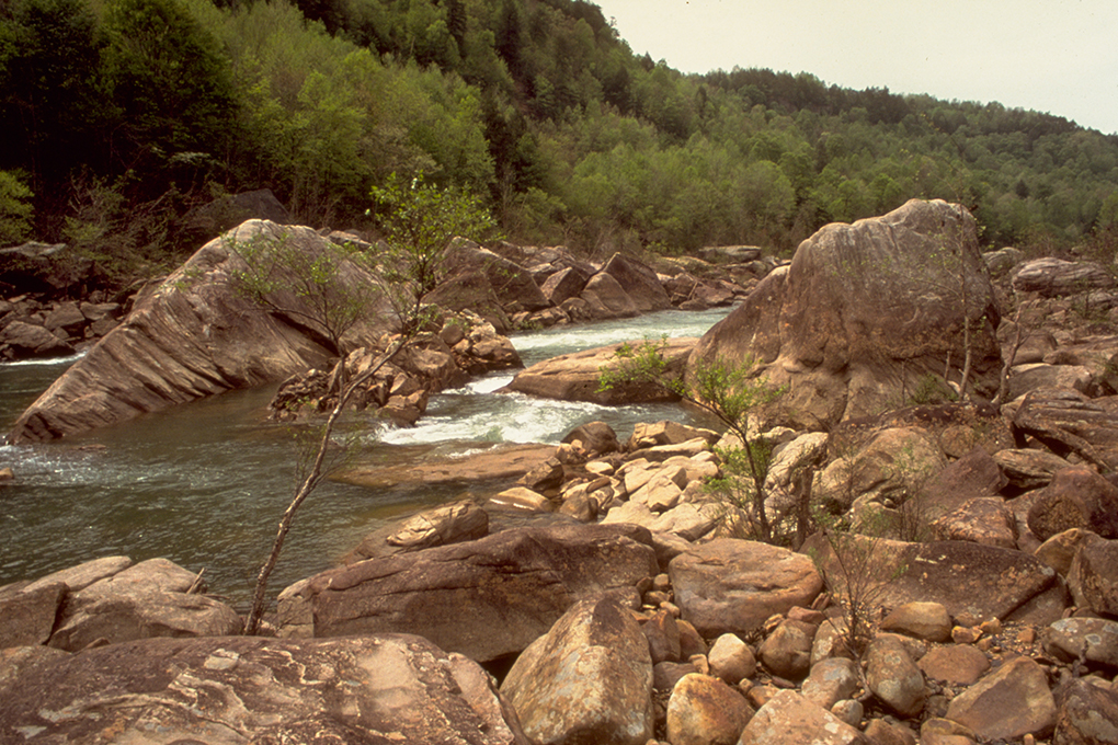 Obed Wild and Scenic River Explore Oak Ridge