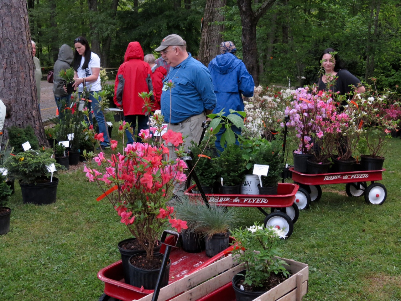UT ARBORETUM SOCIETY’s 52ND SPRING PLANT SALE Explore