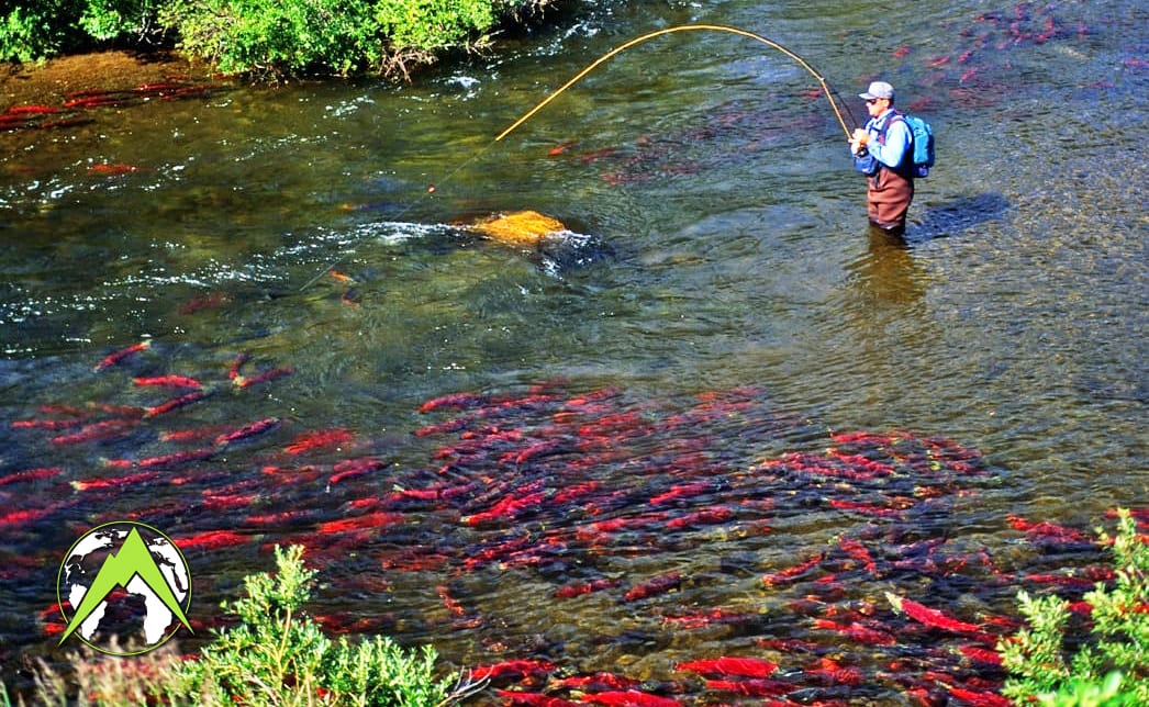 Alaska Float Fishing Trip OIRAA2