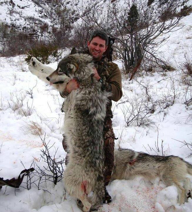 Idaho Wolf Hunt OIKO1 » Keller Outfitters