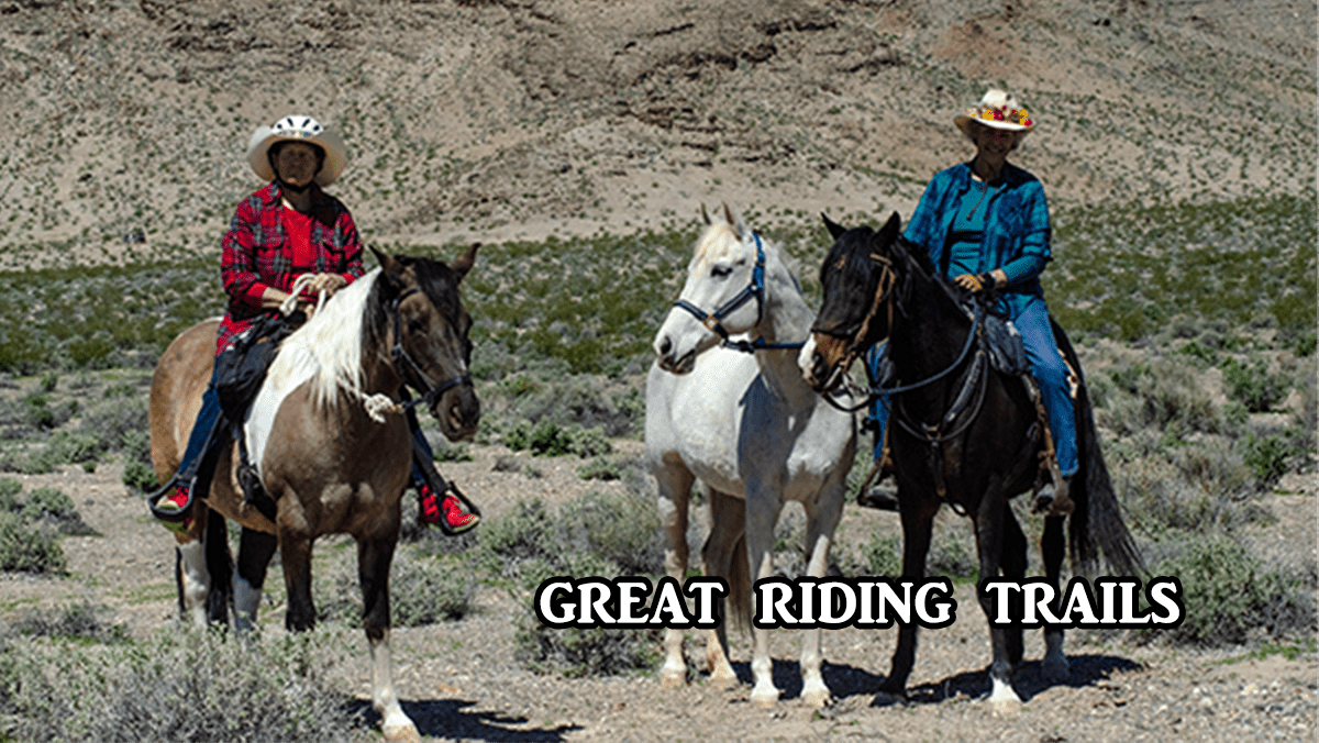 PahrumpNevada Your Gateway To Adventure in Southern Nevada