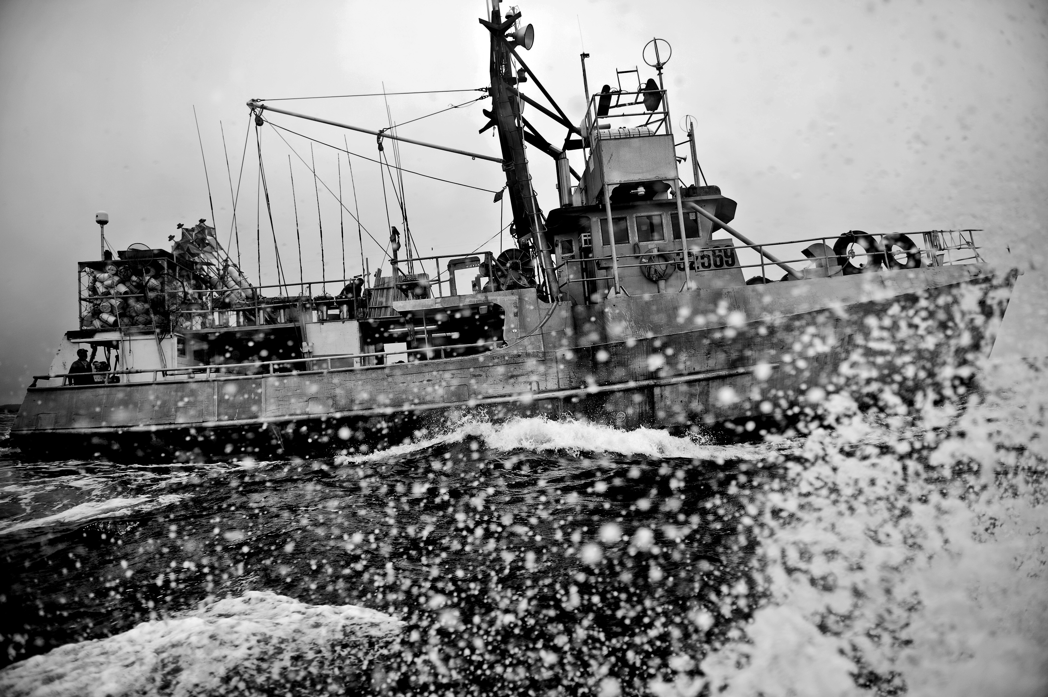 Swordfish hunting off of Newfoundland's coast