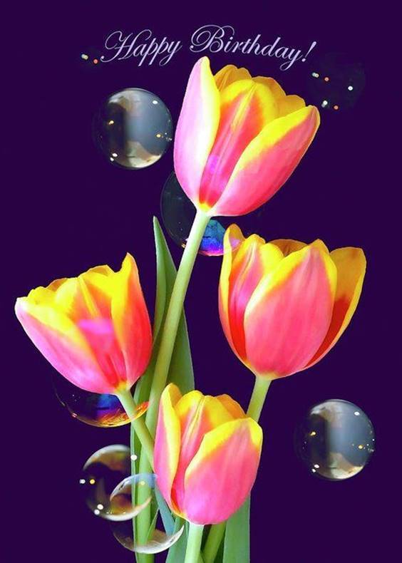 45 The Best Collection Happy Birthday Flowers ExplorePic