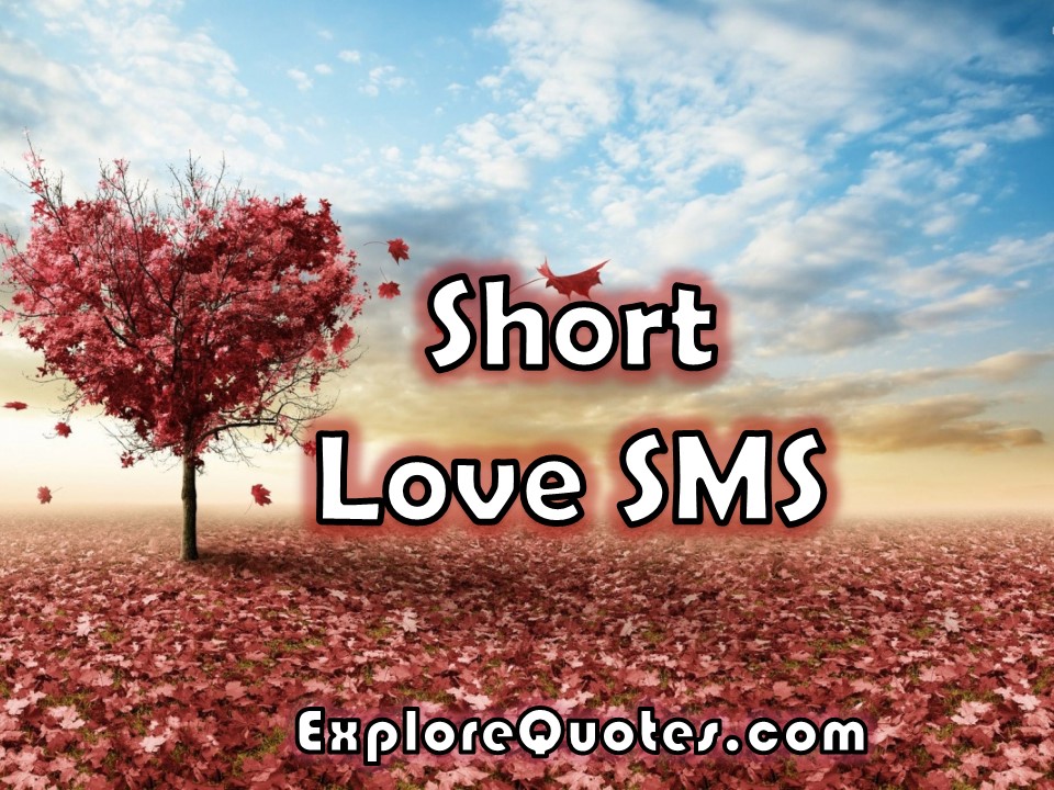 Short Love SMS, Short Love Messages For Him And Her WhatsApp