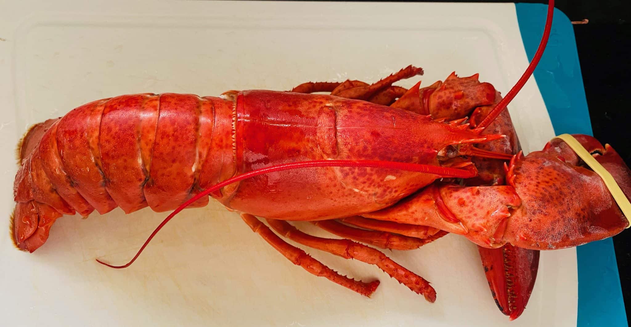 Lobster risotto with lobster bisque Explorer4Experience