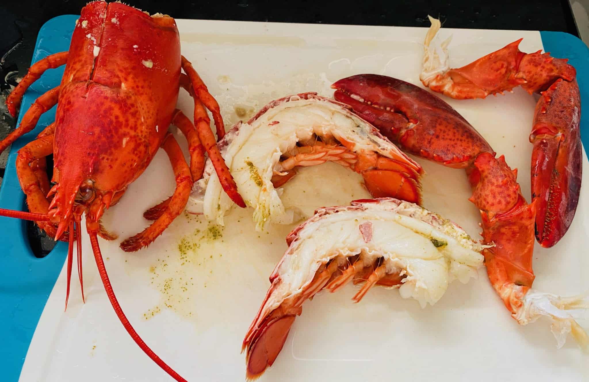 Lobster risotto with lobster bisque Explorer4Experience