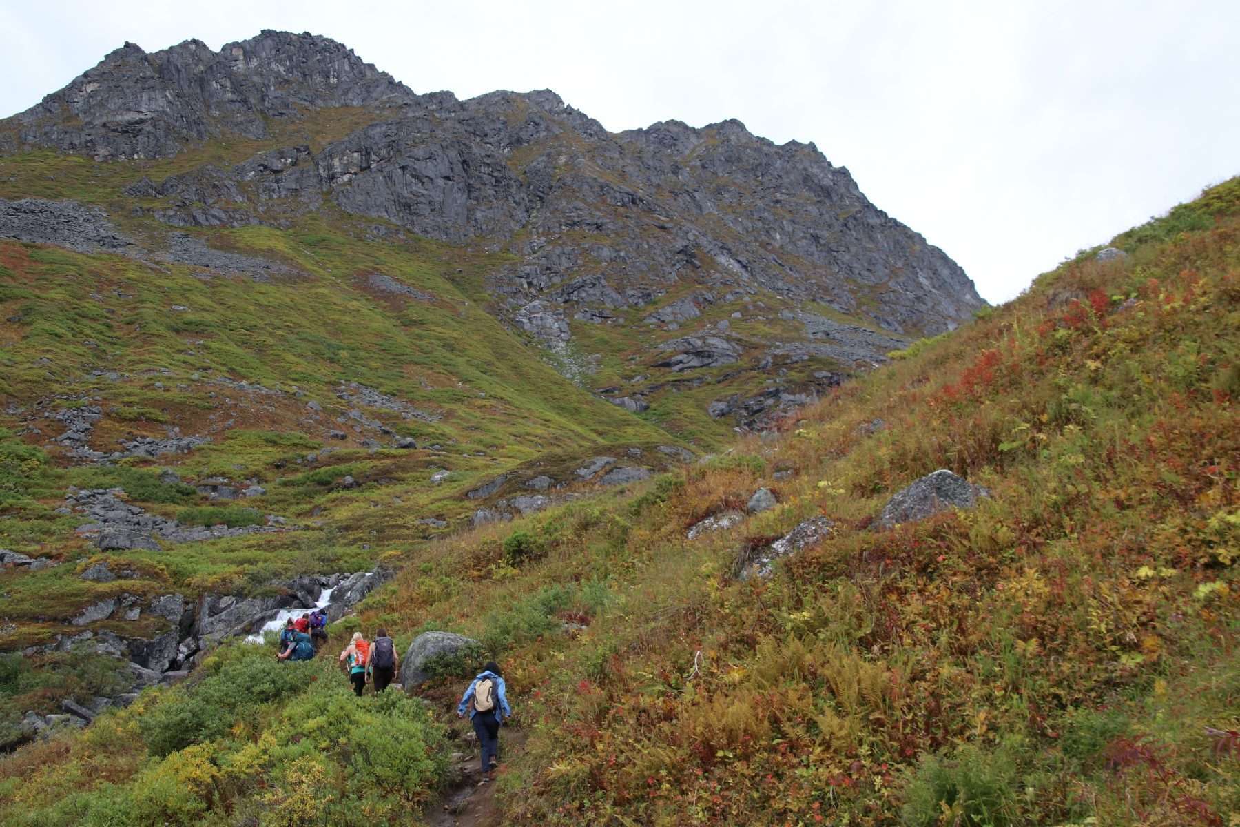 Top 7 Best Hikes in Alaska According to Hikers Explorer Chick