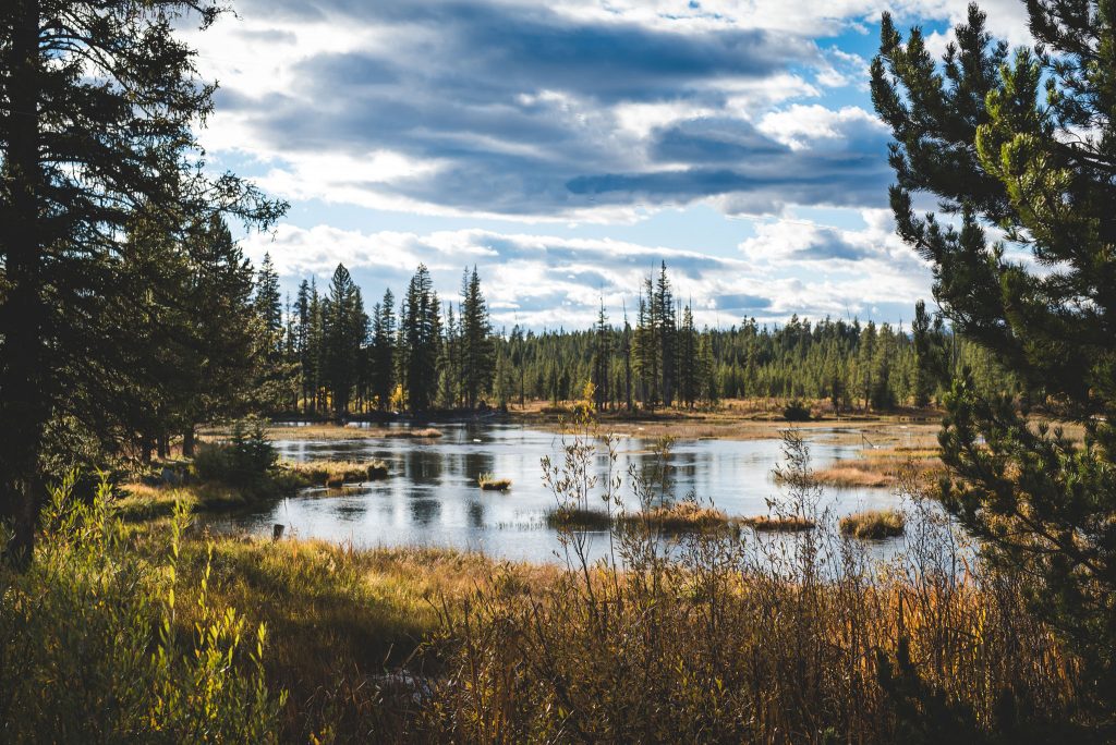 6 Places To Go Fishing Around Rexburg Explore Rexburg