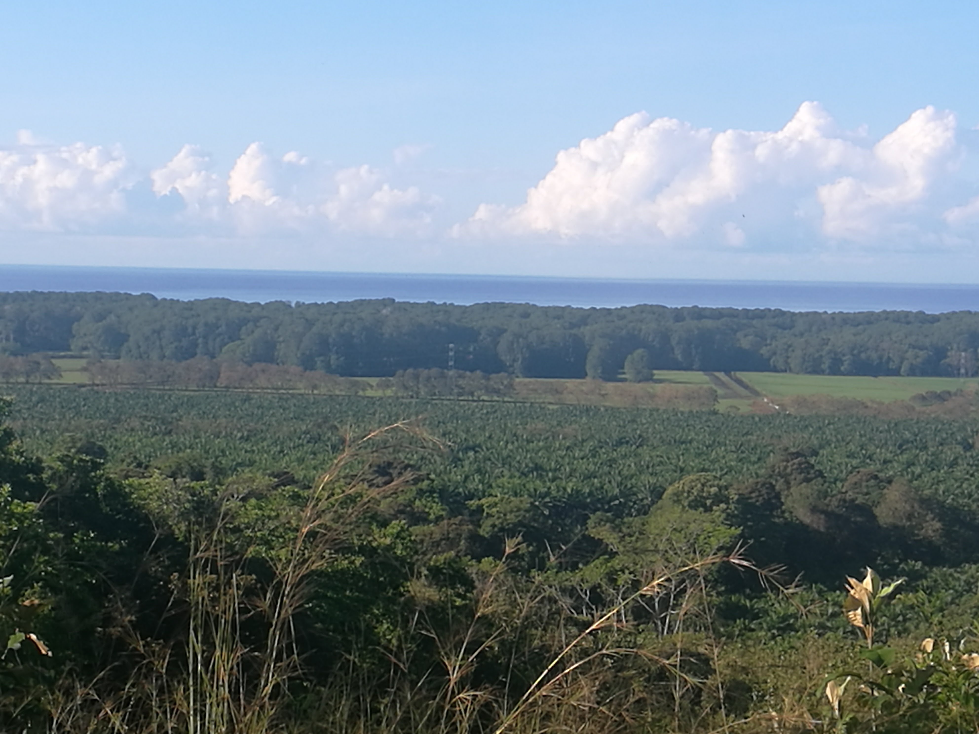 Finca de 60 hectáreas en Matapalo, Quepos de Puntarenas Explore Rich